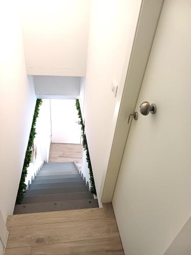 Fammi la corte Verona in Borgo Milano - Stadio