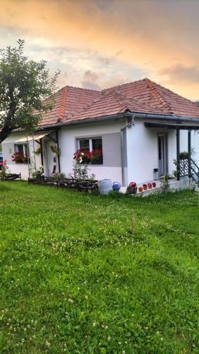 Casuta Alba, Vîgani