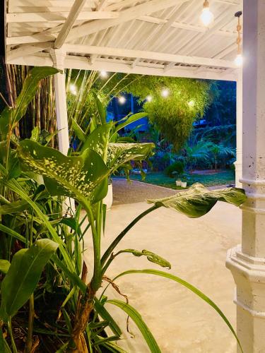 TIKITIBE Villa & Restaurant - image 2