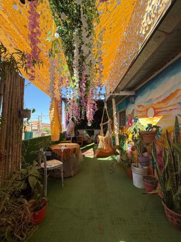 Casita del arbol Hostel in San Salvador De Jujuy