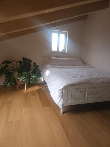 The house in front of the mountain in 卡法耶海茲克爾