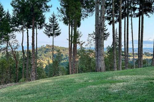. “Mtn Views: Umpqua Valley Villa!”