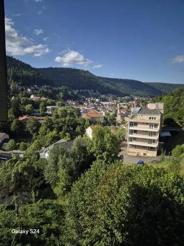 Ferienwohnung Ausblick in Bad Wildbad, Deutschland