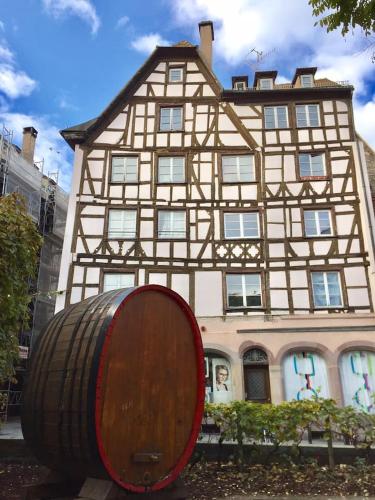 Studio cosy au coeur de Strasbourg, Strasburgo (foto 10)
