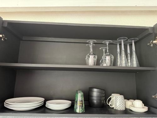 CENTRAL PALM in Gustavia