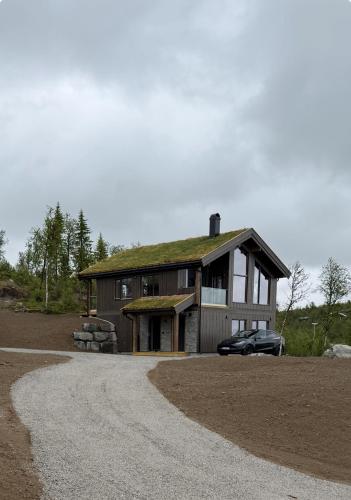 Exclusive cabin with sauna and mountain view in Geilo, Hol