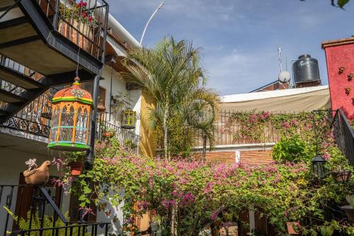 Las Mariposas Hotel & Studios in Oaxaca