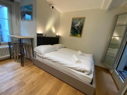 Tiny Old Town Studio, Bern (fotografie 3)