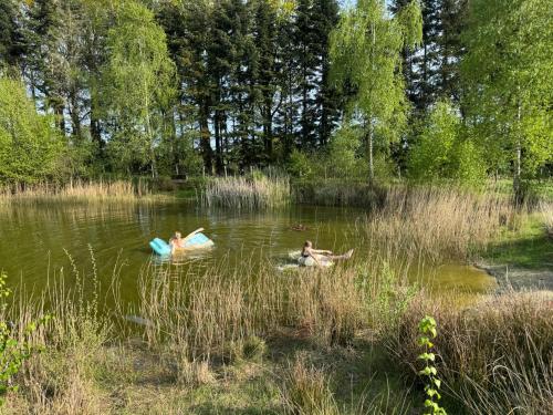 Het Bonte Paard – Dwingeloo, TX