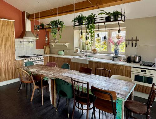 Het Bonte Paard – Dwingeloo, TX