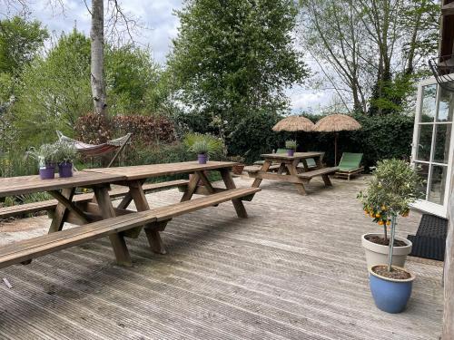 Het Bonte Paard – Dwingeloo, TX