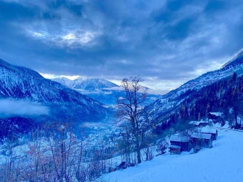 景觀, Castanea VIVA in 莫雷爾