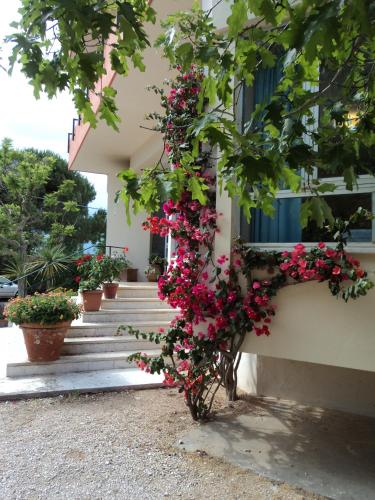Entrance, Hotel Le Pleiadi in San Felice Circeo