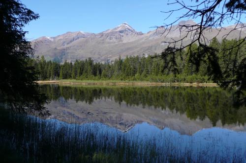 Alpengasthof Norbertshöhe Superior - image 7
