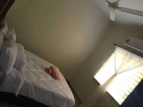 2 double beds