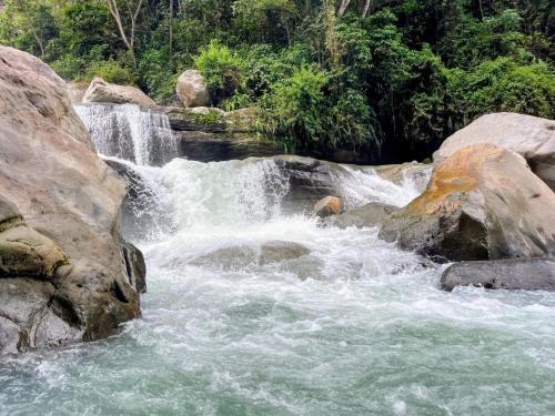 Nearby attraction, Refugio verde, interior 2 in Acacias