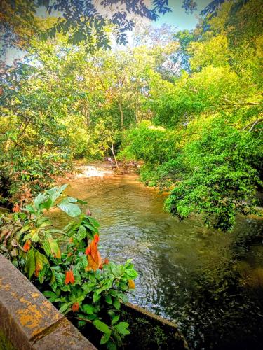 Nearby attraction, Refugio verde, interior 2 in Acacias