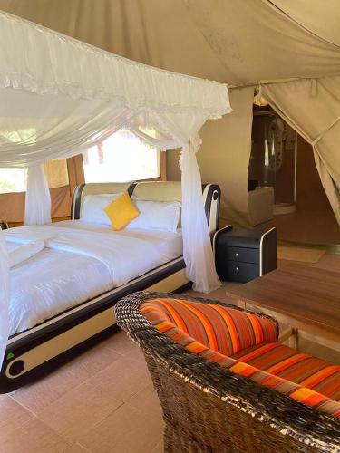 Eco Mara Tented Camp – khách sạn tại Narok