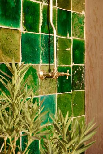 Riad Tzarra - image 5