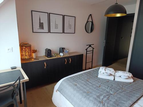 Chambre avec jacuzzi extérieur, Strasbourg (photo 8)