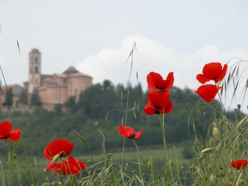 Dai Nonni Bed and Breakfast, Pension in Camerino