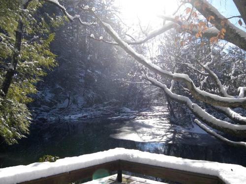 Superb Mountain Getaway near Cherokee National Forest in Reliance, Tennessee in Austral (TN)