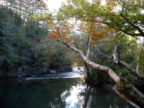 Superb Mountain Getaway near Cherokee National Forest in Reliance, Tennessee in Austral (TN)