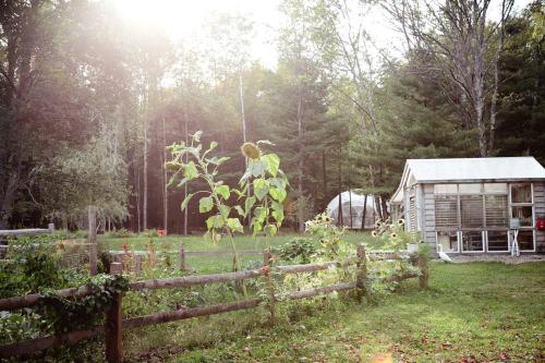 Cozy Cottage on a Private Farm Nestled Among the Southern Catskill Mountains in Woodridge, New York in Mountain Dale