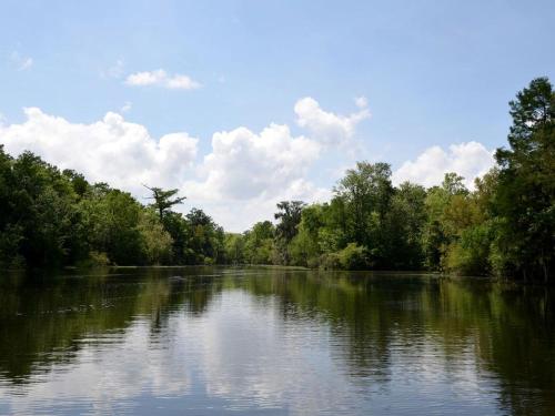 Cozy Cabin Rental in Napoleonville near New Orleans, Louisiana in นาโปเลียนวิลล์