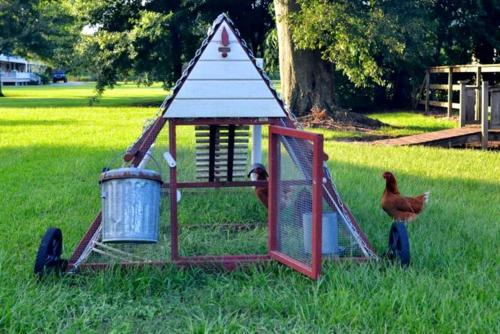 Cozy Cabin Rental in Napoleonville near New Orleans, Louisiana in นาโปเลียนวิลล์