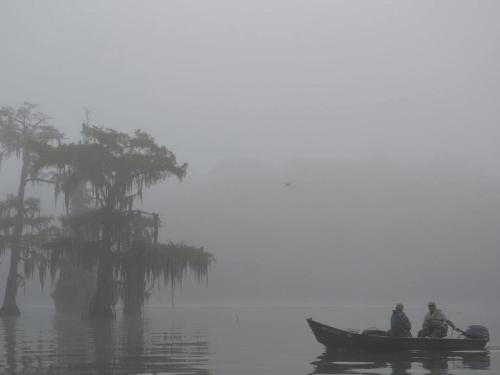 Cozy Cabin Rental in Napoleonville near New Orleans, Louisiana in นาโปเลียนวิลล์