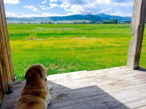 Romantic Cabin Getaway Along the Madison River in Ennis, Montana in Ennisa (MT)