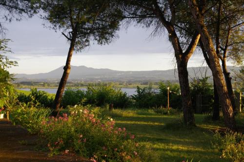 La Pievaccia - Accommodation - Binami