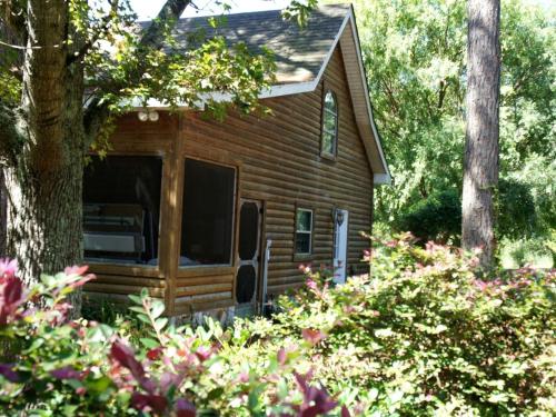 Delightful Vacation Cabin for Unique Getaway near Macon, Georgia in 泰泰 (GA)