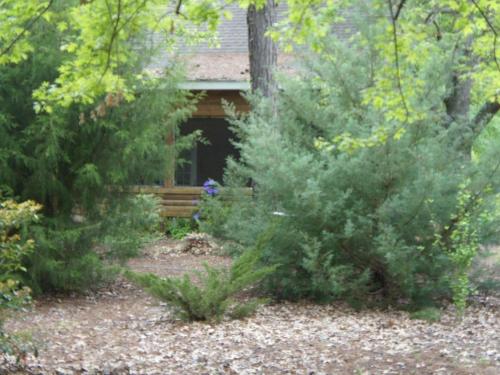 Delightful Vacation Cabin for Unique Getaway near Macon, Georgia in 泰泰 (GA)
