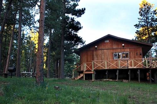 Secluded Mountain Cabin in the Quiet Woodlands near Douglas, Wyoming in Douglas