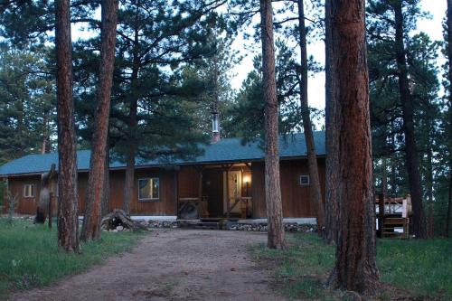 Secluded Mountain Cabin in the Quiet Woodlands near Douglas, Wyoming in Douglas