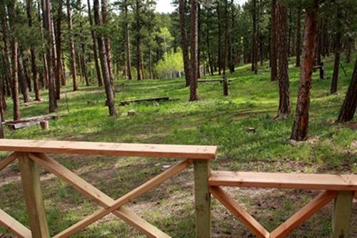 Secluded Mountain Cabin in the Quiet Woodlands near Douglas, Wyoming in Douglas