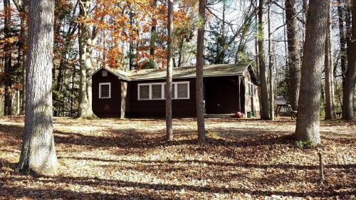 Gorgeous Getaway Cabin in the Woods near Lake Michigan in Wellston, Michigan
