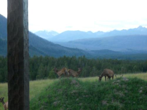 Deluxe Getaway Rental in a Mountain Cabin near Lake McDonald, Montana in West Glacier
