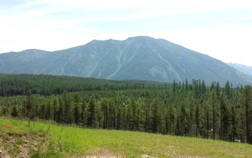 Deluxe Getaway Rental in a Mountain Cabin near Lake McDonald, Montana in West Glacier