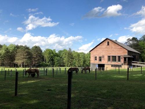 Deluxe Barn on a Horse Farm in Allegheny National Forest, Marienville