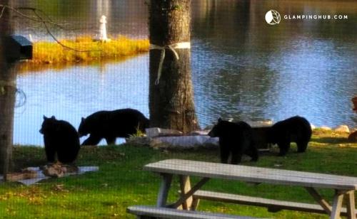 Charming Waterfront Cottage Rental near Topsmead State Forest, Connecticut in 托靈頓
