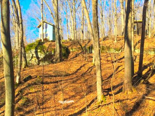 Rustic Off-Grid Cabin Getaway near Wayne National Forest, Ohio in เอเธนส์ (OH)