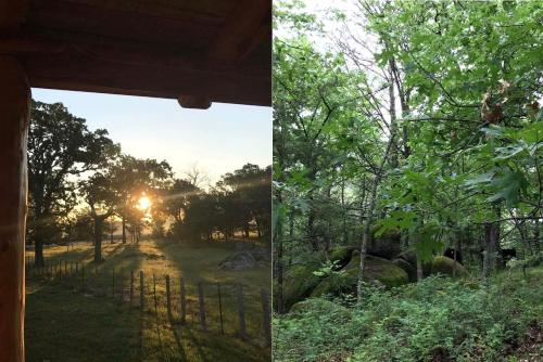 Secluded Log Cabin with Amazing Views in Tishomingo, Oklahoma in Tishomingo