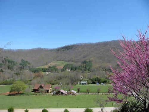 Secluded Pet-Friendly Log Cabin near Asheville, North Carolina in Forest Hills (NC)