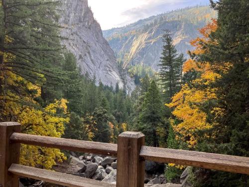 Enchanting Creekside Cabin Retreat near Yosemite National Park in California in Fish Camp (CA)