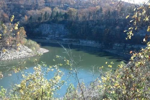 Lakefront Cottage Getaway near Daniel Boone National Forest in Kentucky in Burnside (KY)