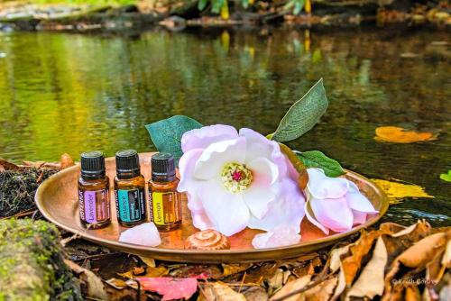 Traditional Wooden Cabin Rental in the Poconos, Pennsylvania in 卡纳登西斯