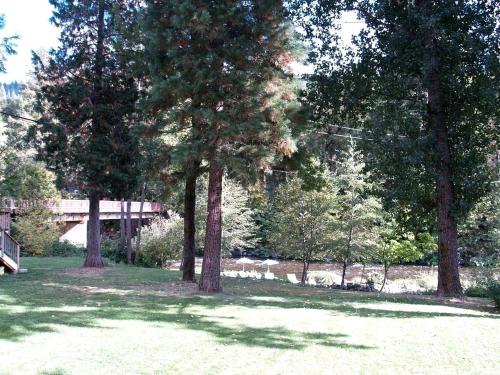 Spectacular Riverside Getaway Cabin with Claw Foot Bathtub in Castella, California in Dunsmuir